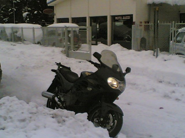 Elefanten